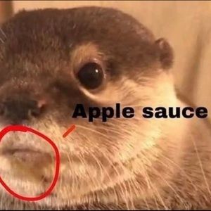 Meet your Posher, Venus